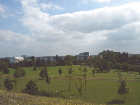 Neustädter Feld view 3