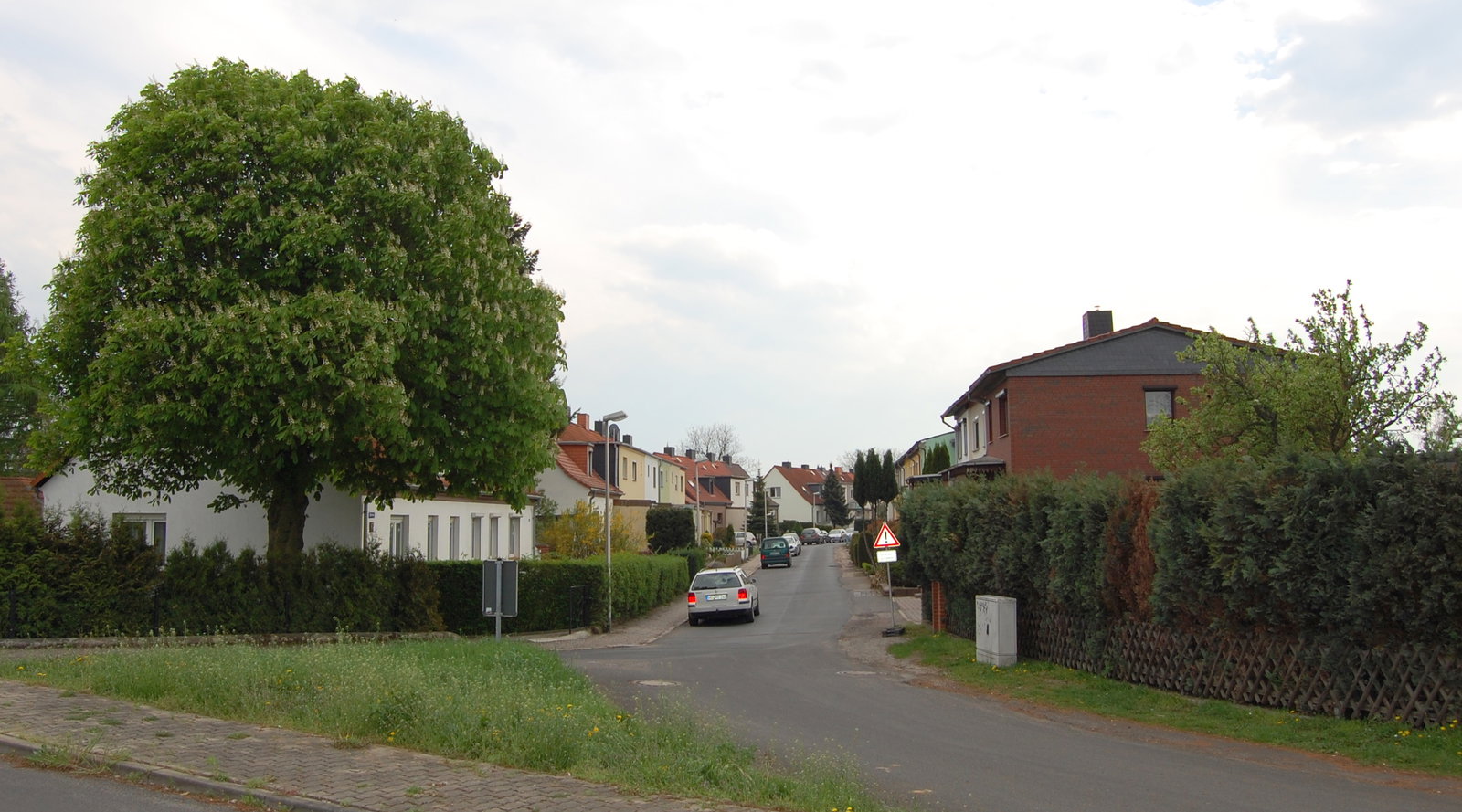 Salbke district