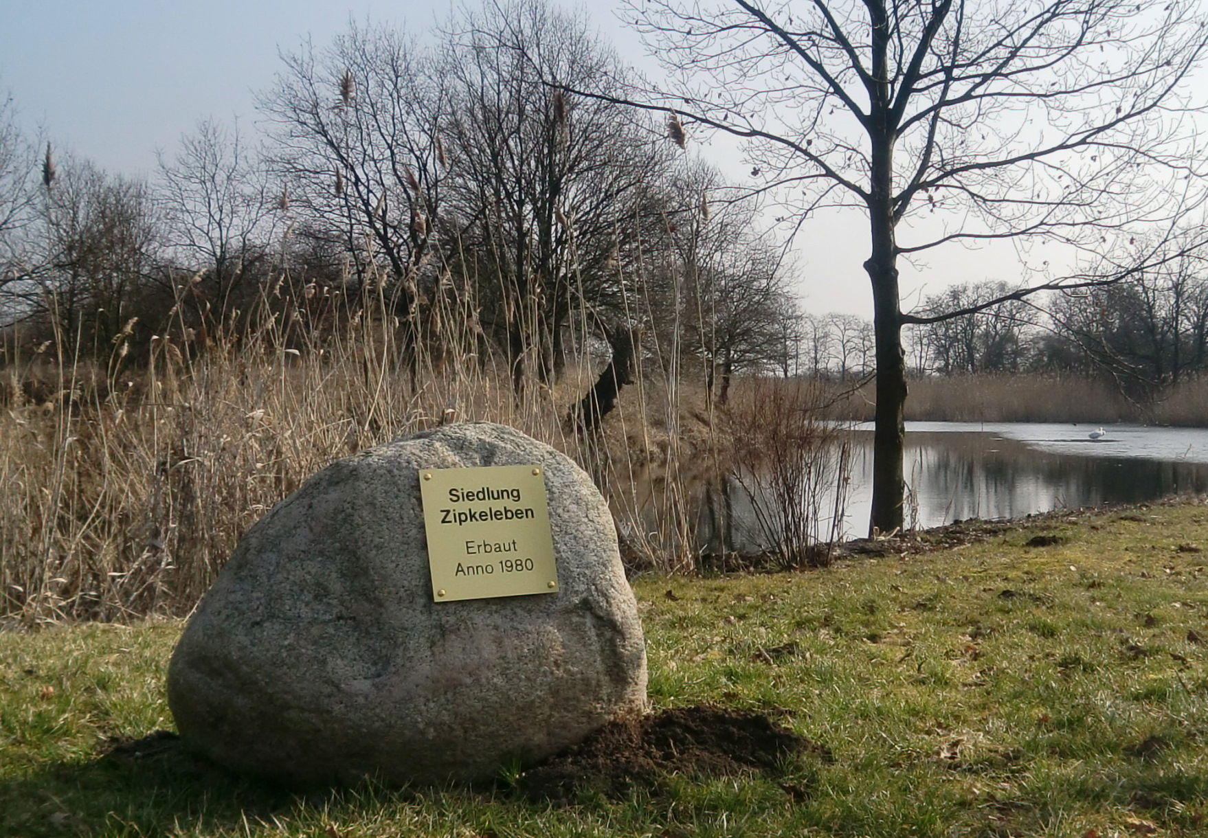 Zipkeleben view 2