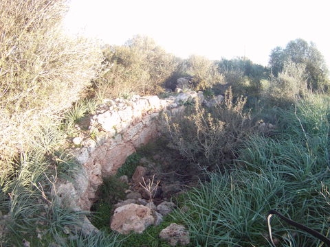 Es Rafal view 1