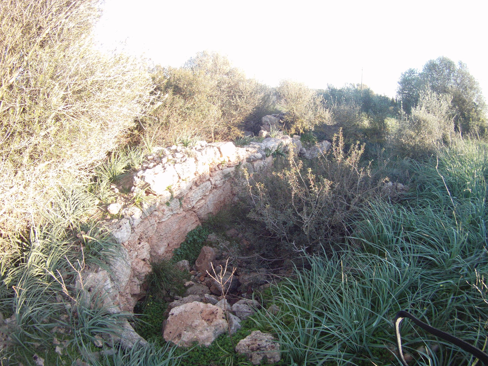 Es Rafal district