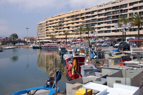 Saint-Cyprien view 2