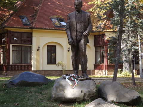 Nagyerdő view 3