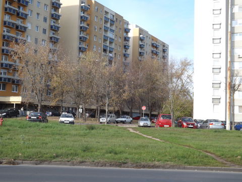 Tócóskert view 3