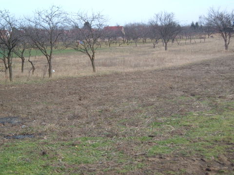 Szandaszőlős view 1