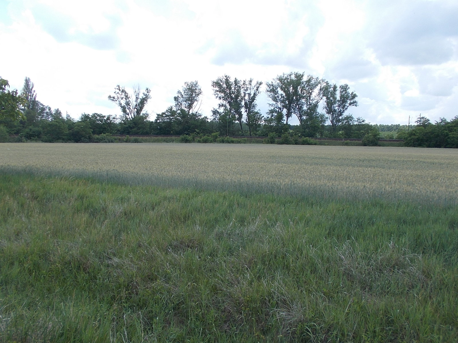 Szolnok Külső (Outer Szolnok) district