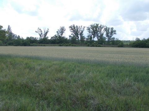 Szolnok Külső (Outer Szolnok) view 2