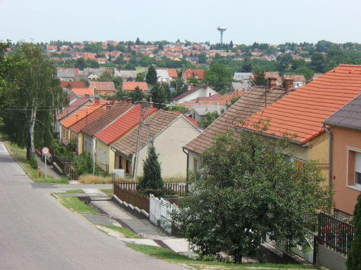 Kaposhegy district