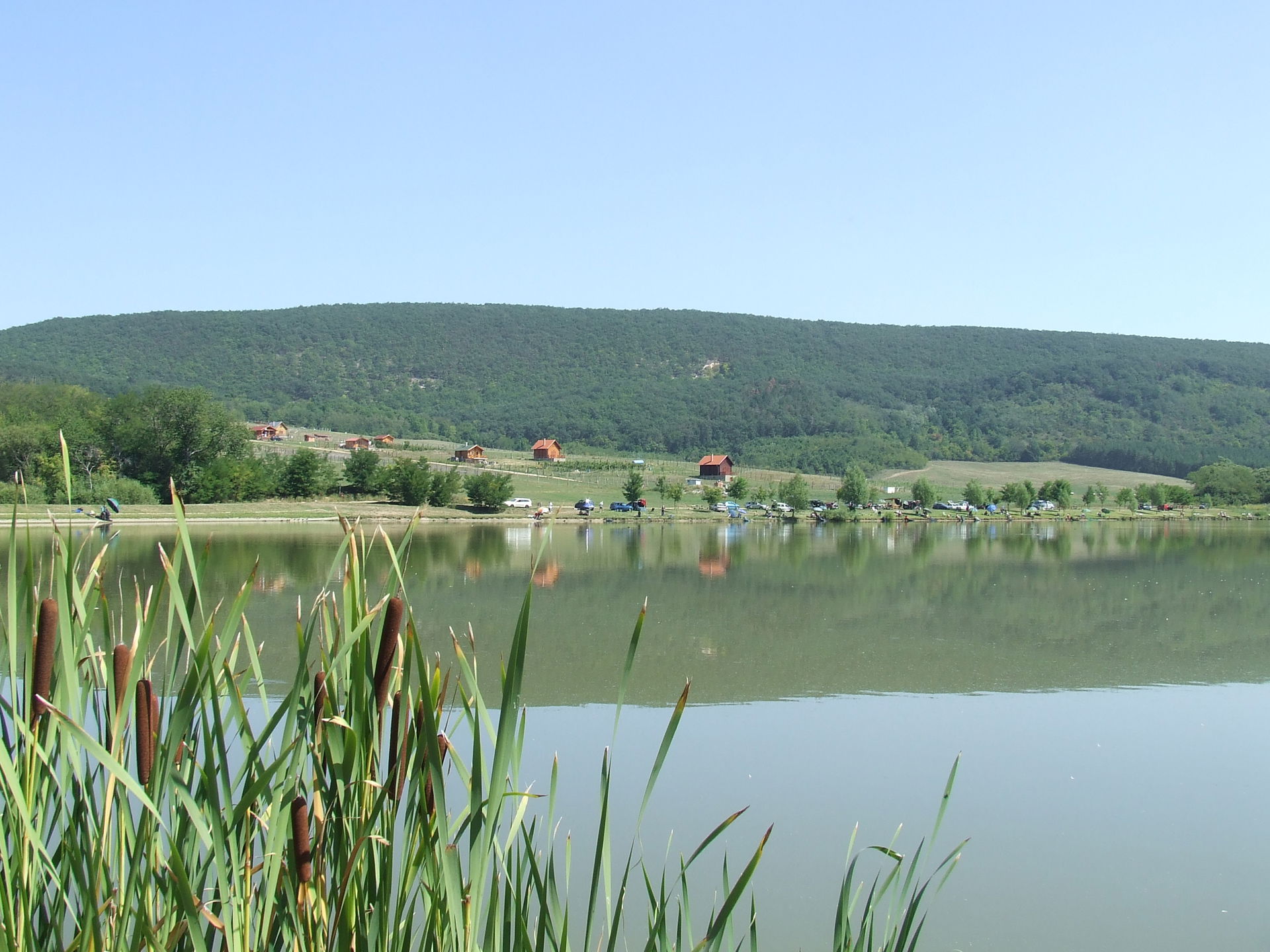 Cser view 1