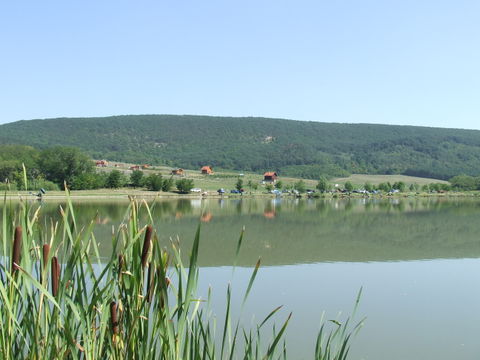 Cser view 1