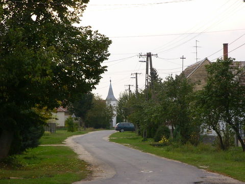 Cser view 2