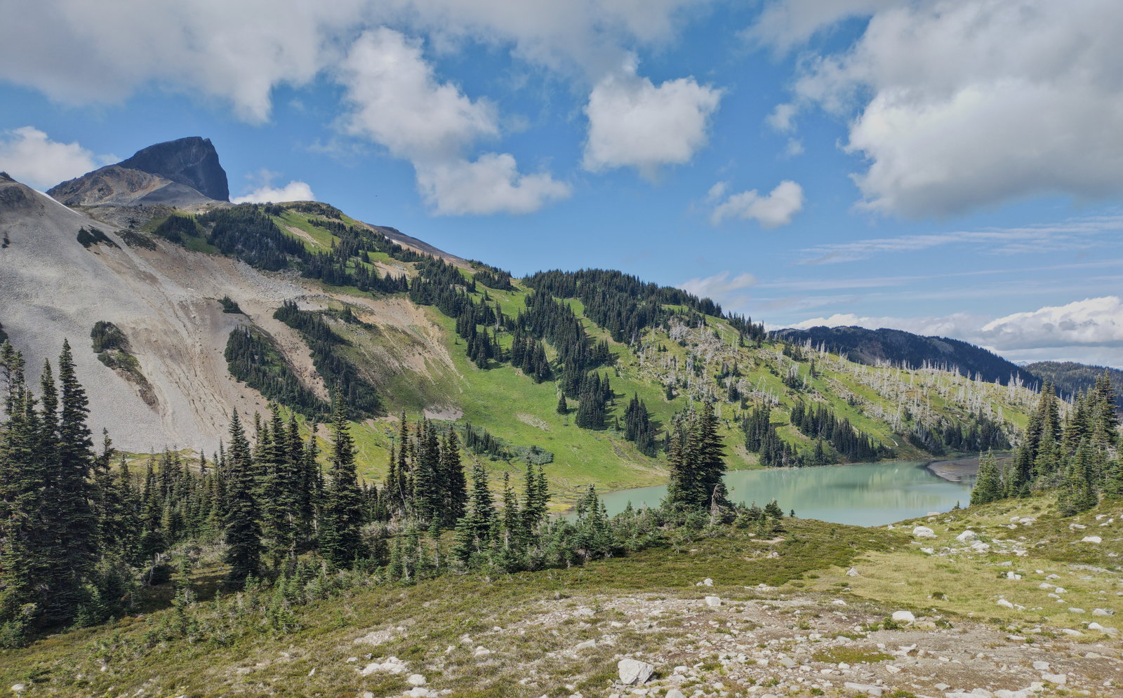 Helmas district