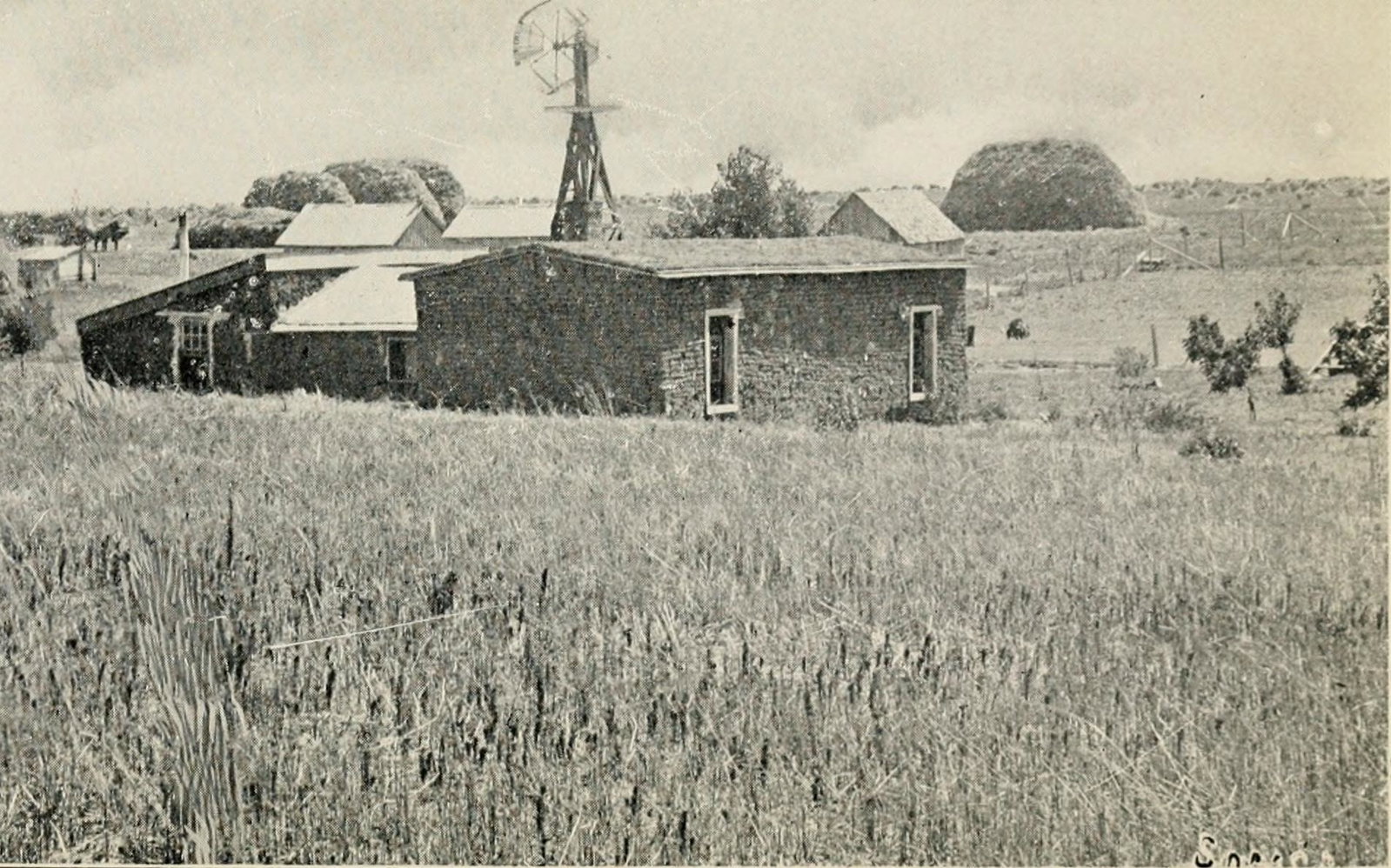 Burrel district