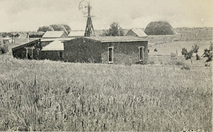 Burrel district