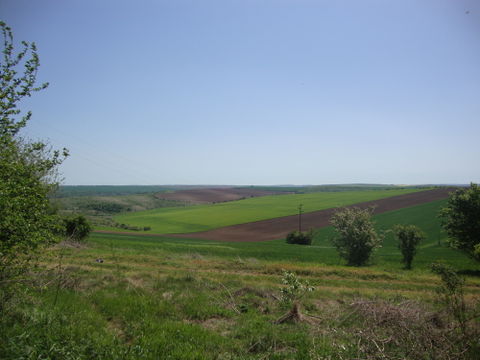 Ruse Municipality view 1