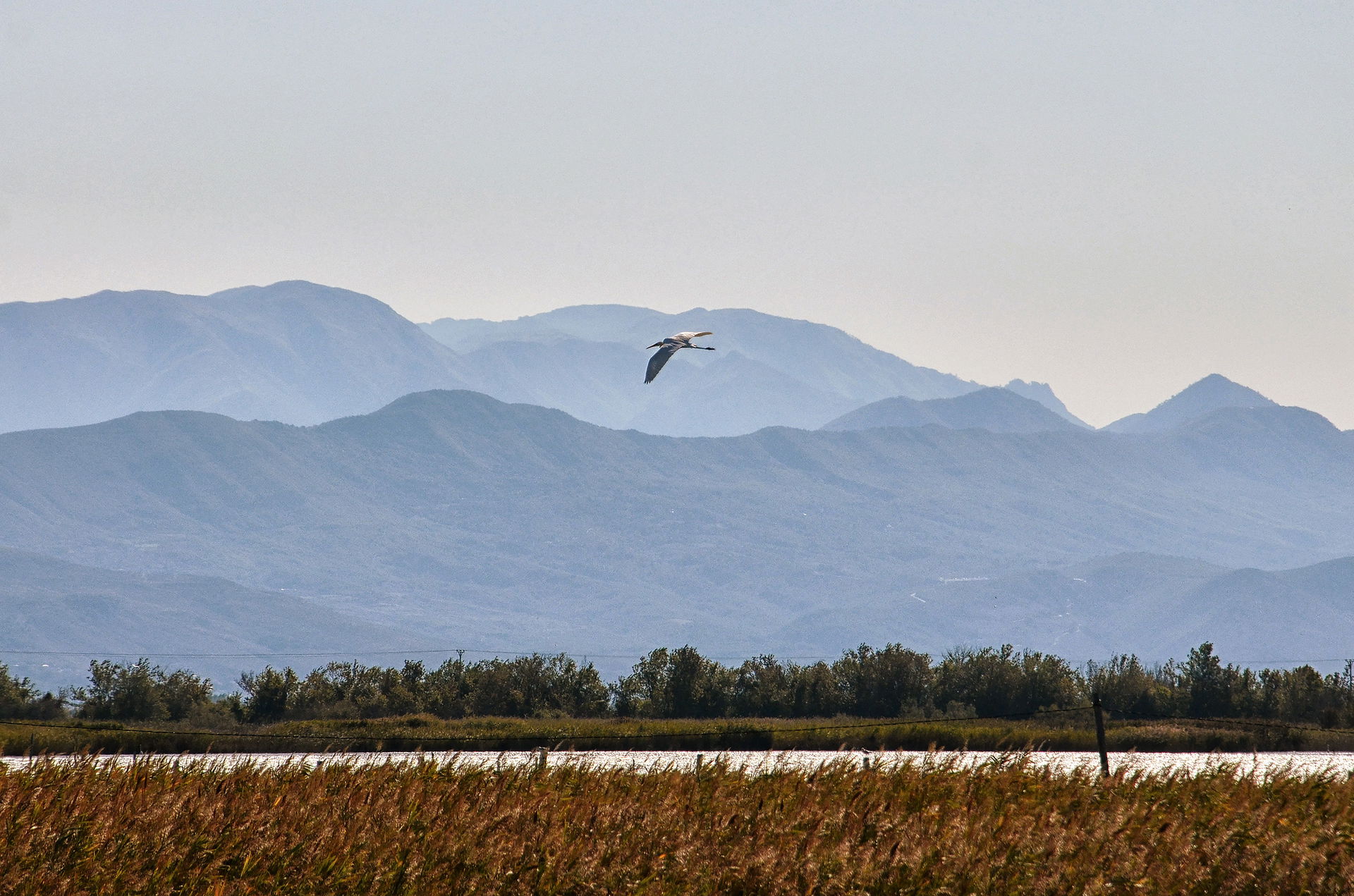 Lezhë view 1