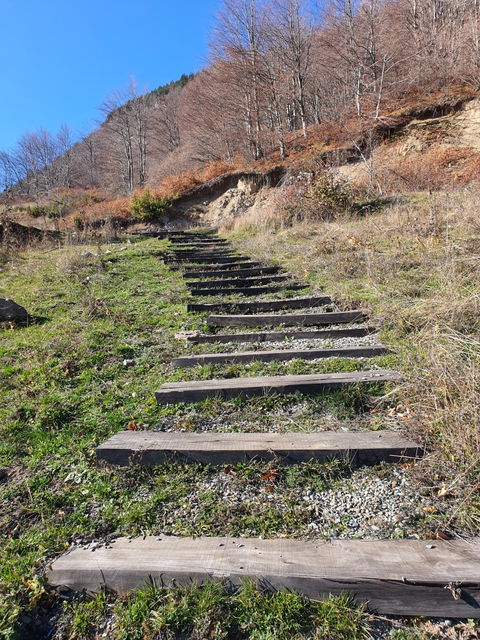 Xarrë view 2
