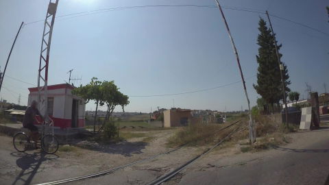 Rashbull view 1