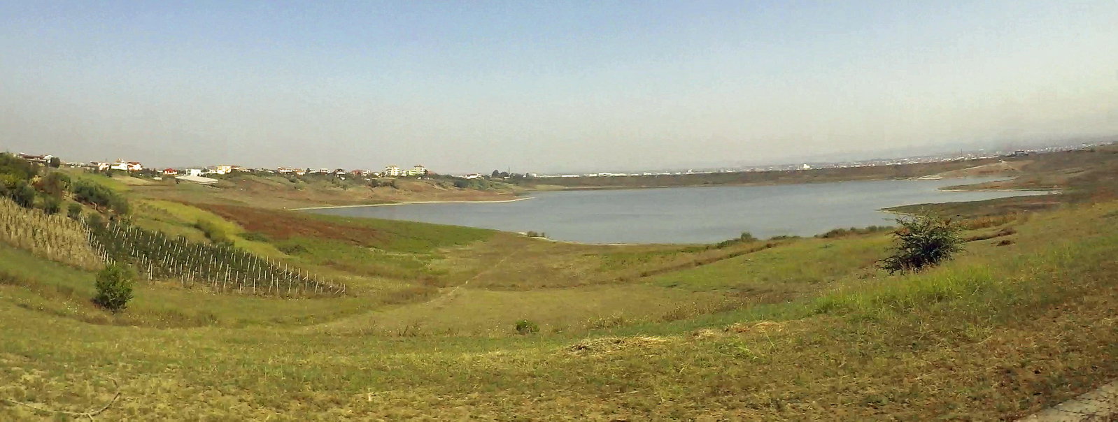 Rashbull district