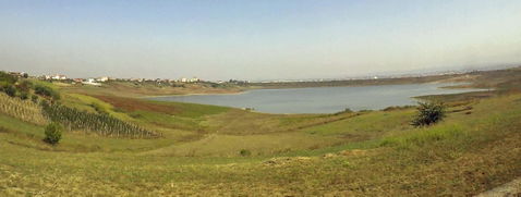 Rashbull view 2