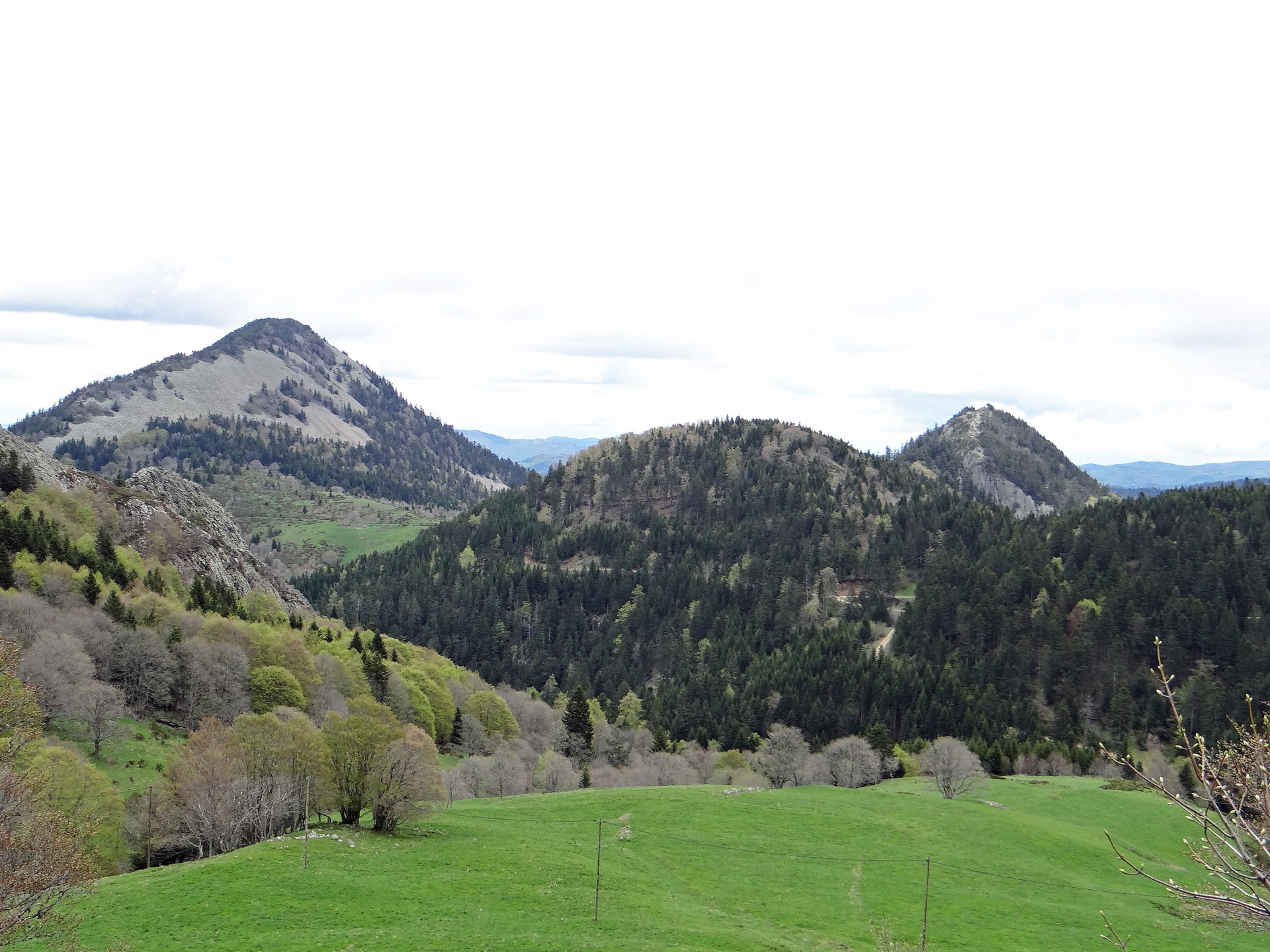 Suç view 1