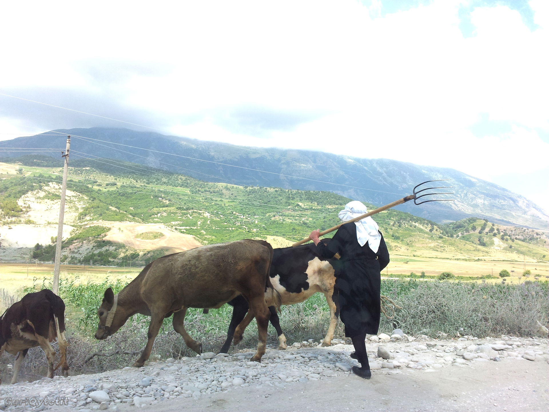 Memaliaj