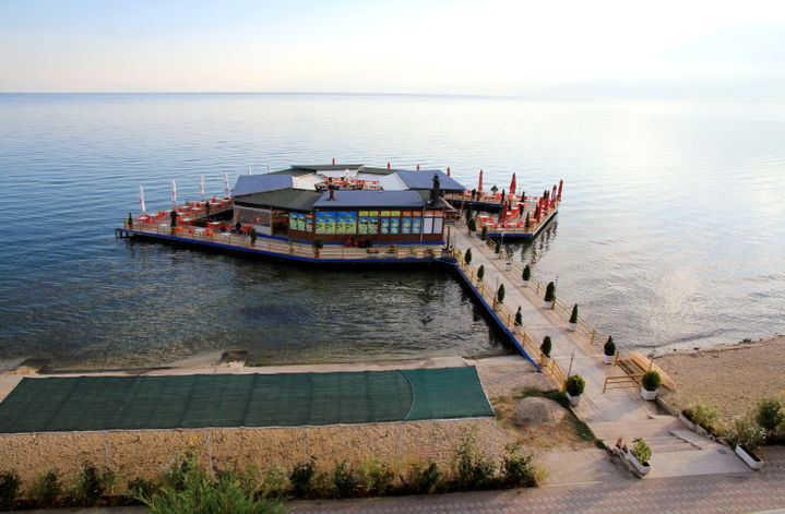 Pogradec district