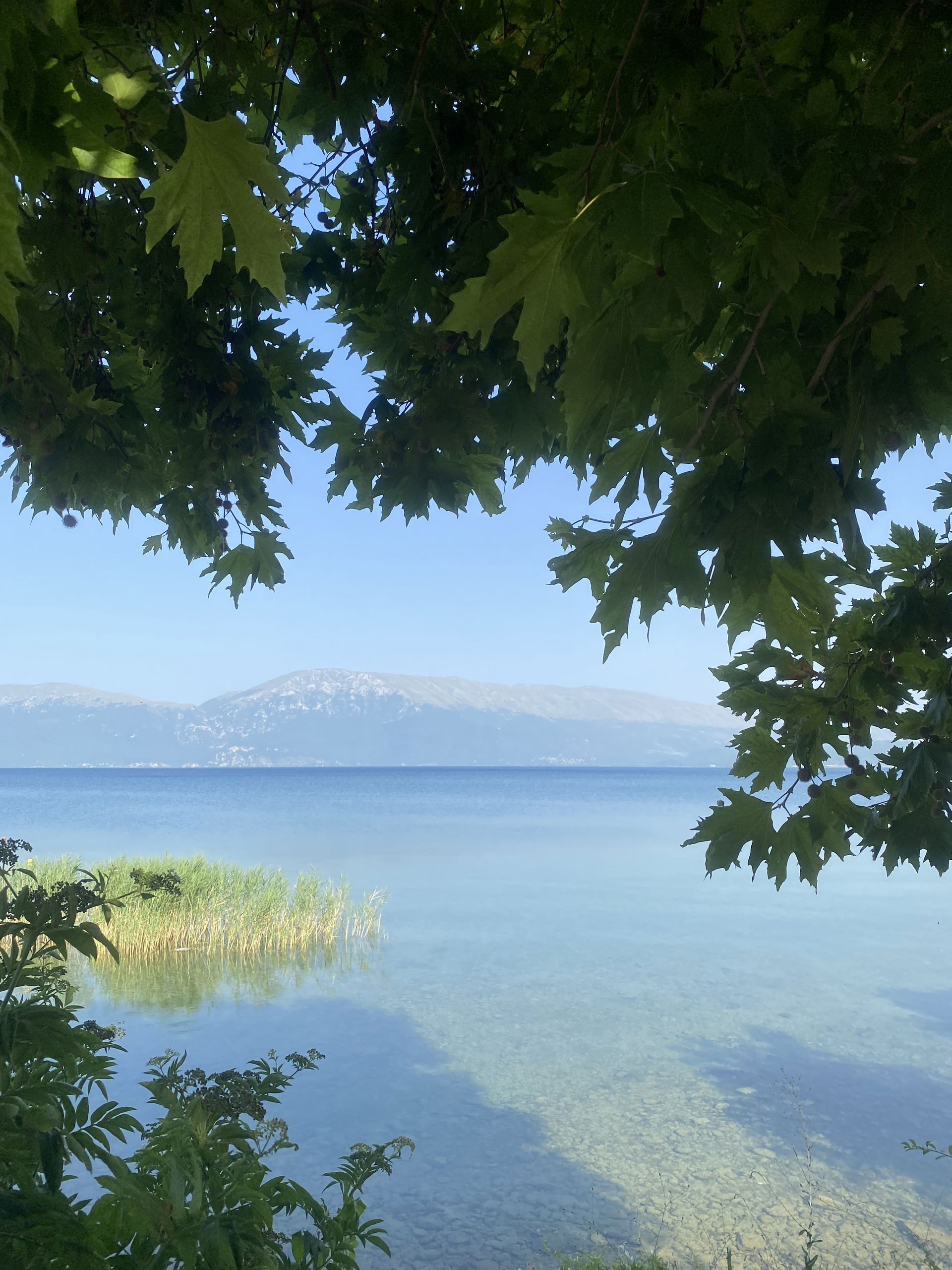 This is a photo of a natural heritage site in Albania, id: