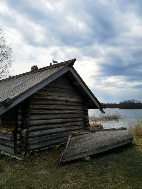 Чайка view 2