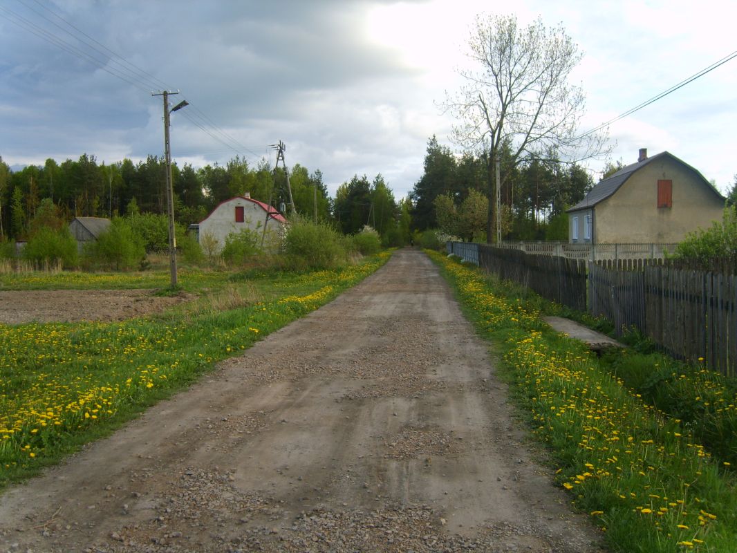 Владиславово district