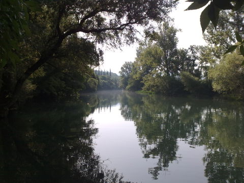 Buna view 2
