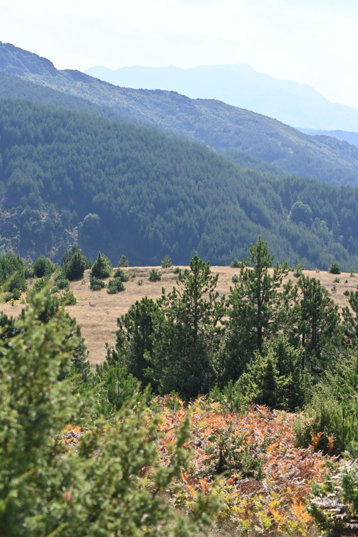 Kryezi district