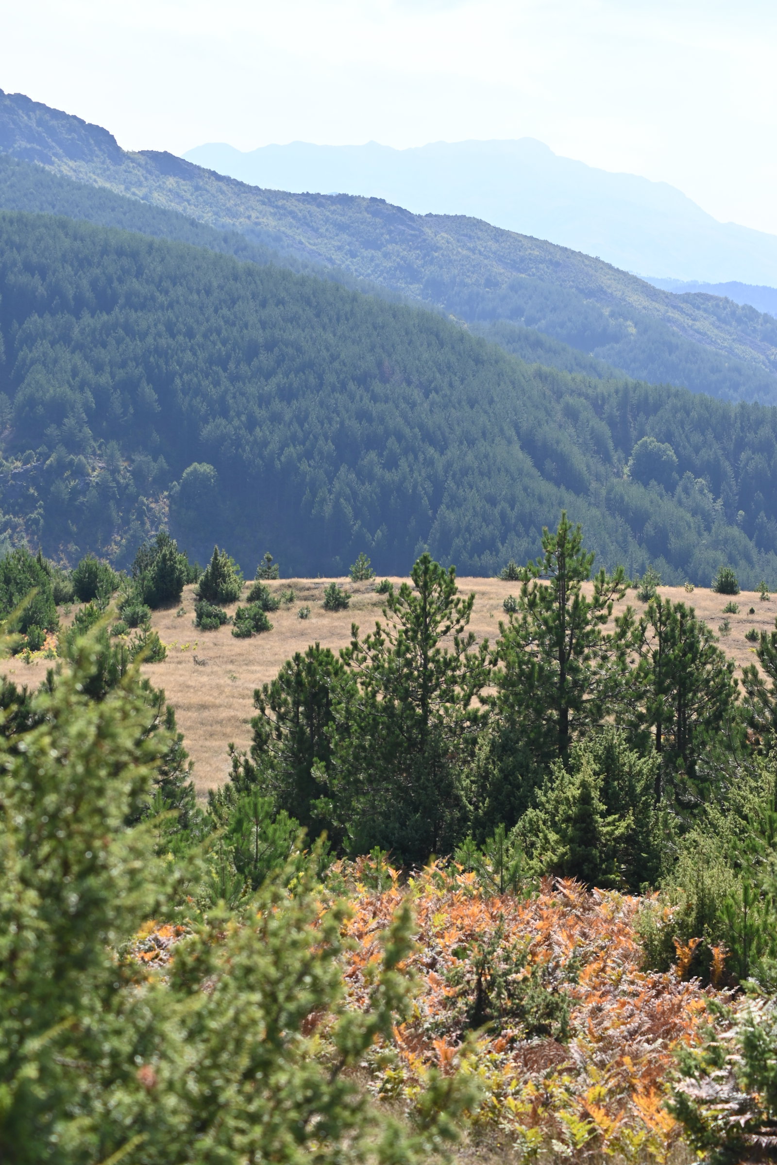 Kryezi district