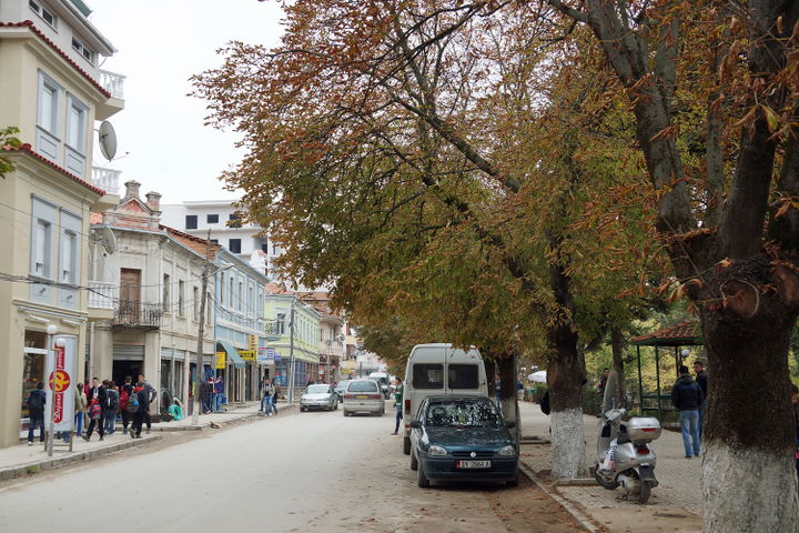 Bilisht district