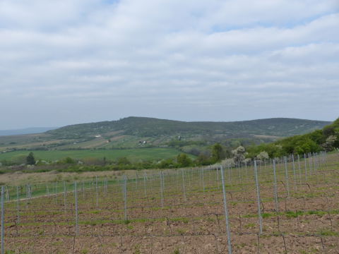 Megyer view 2