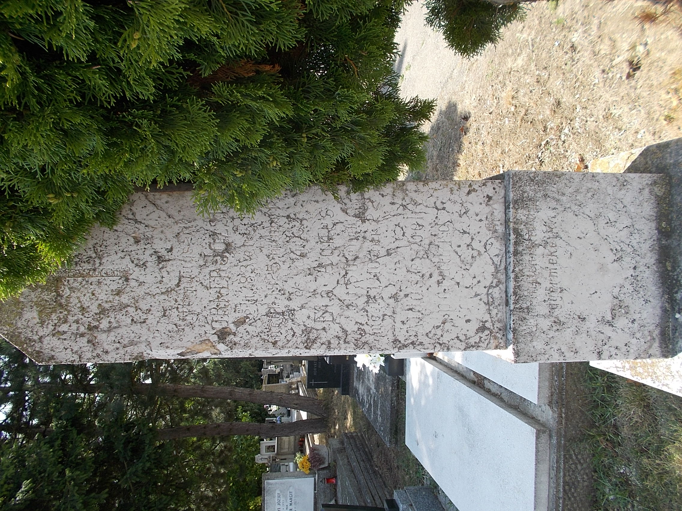 :Őrangyal (Guardian Angel) Cemetery or New Cemetery. - Kárpát u…