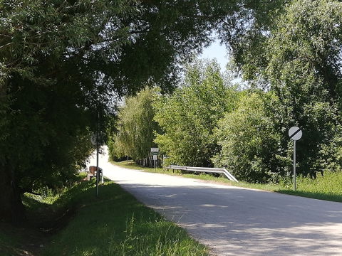 Tarján view 2