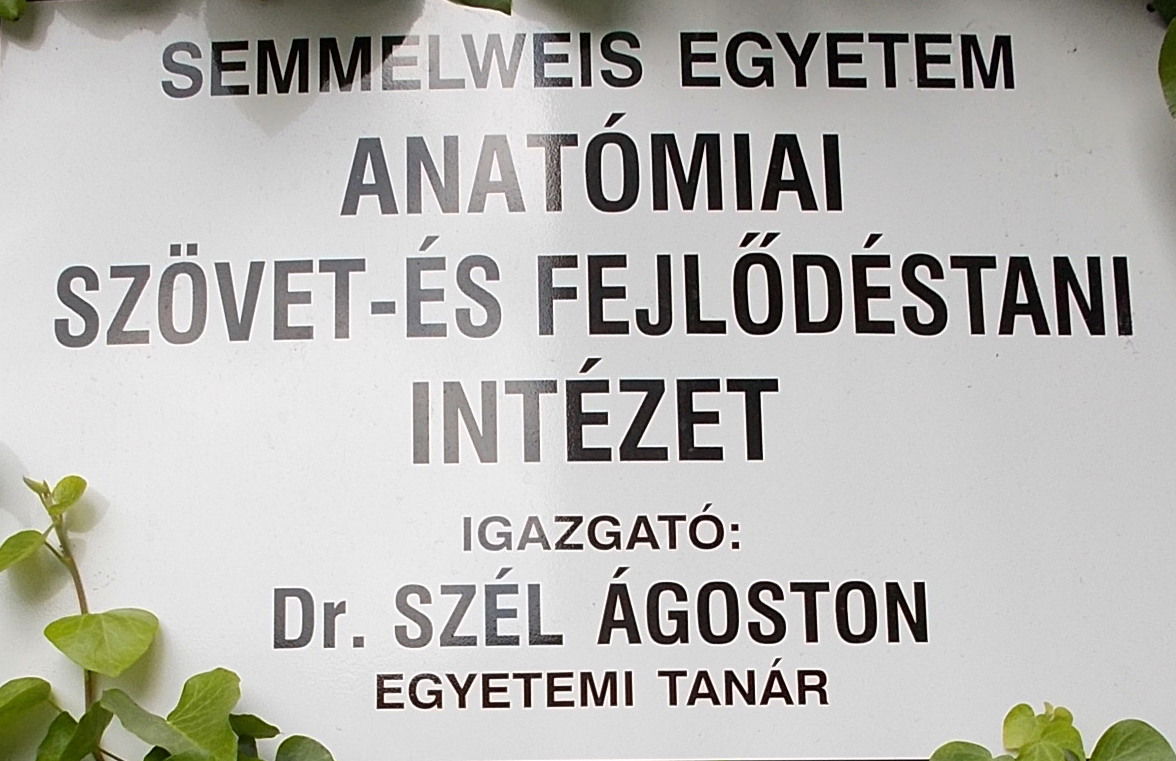 IX. kerület (Ferencváros) view 2