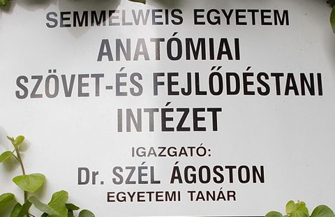 IX. kerület (Ferencváros) view 2