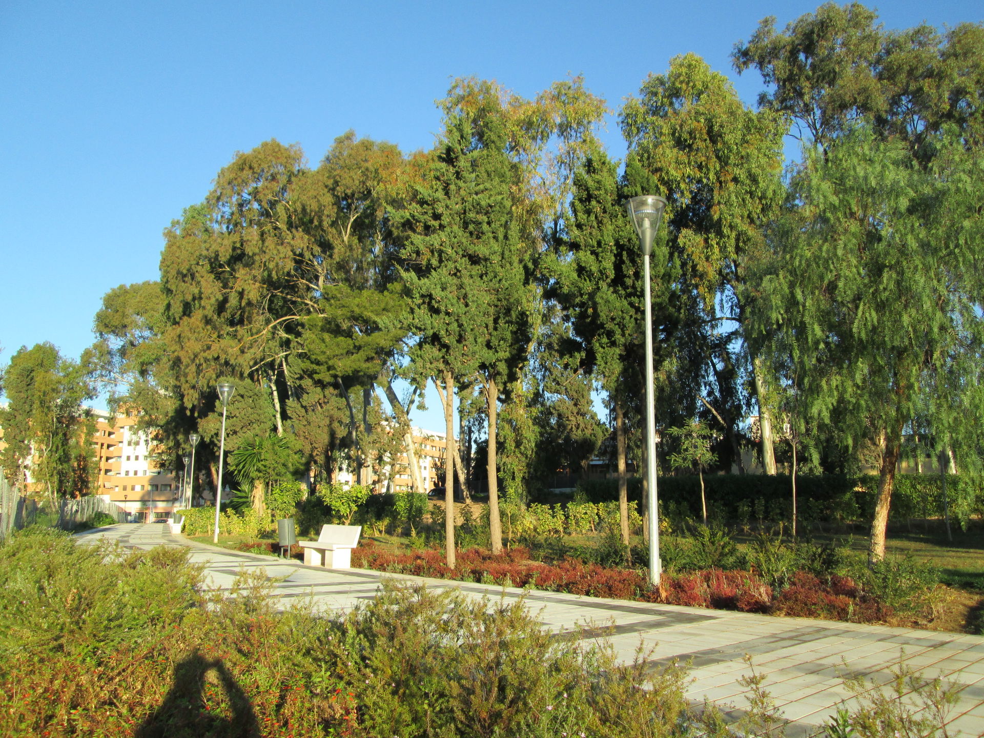 Teatinos-Universidad view 5