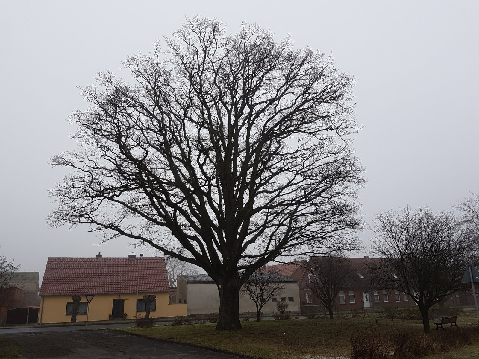 Eiche district