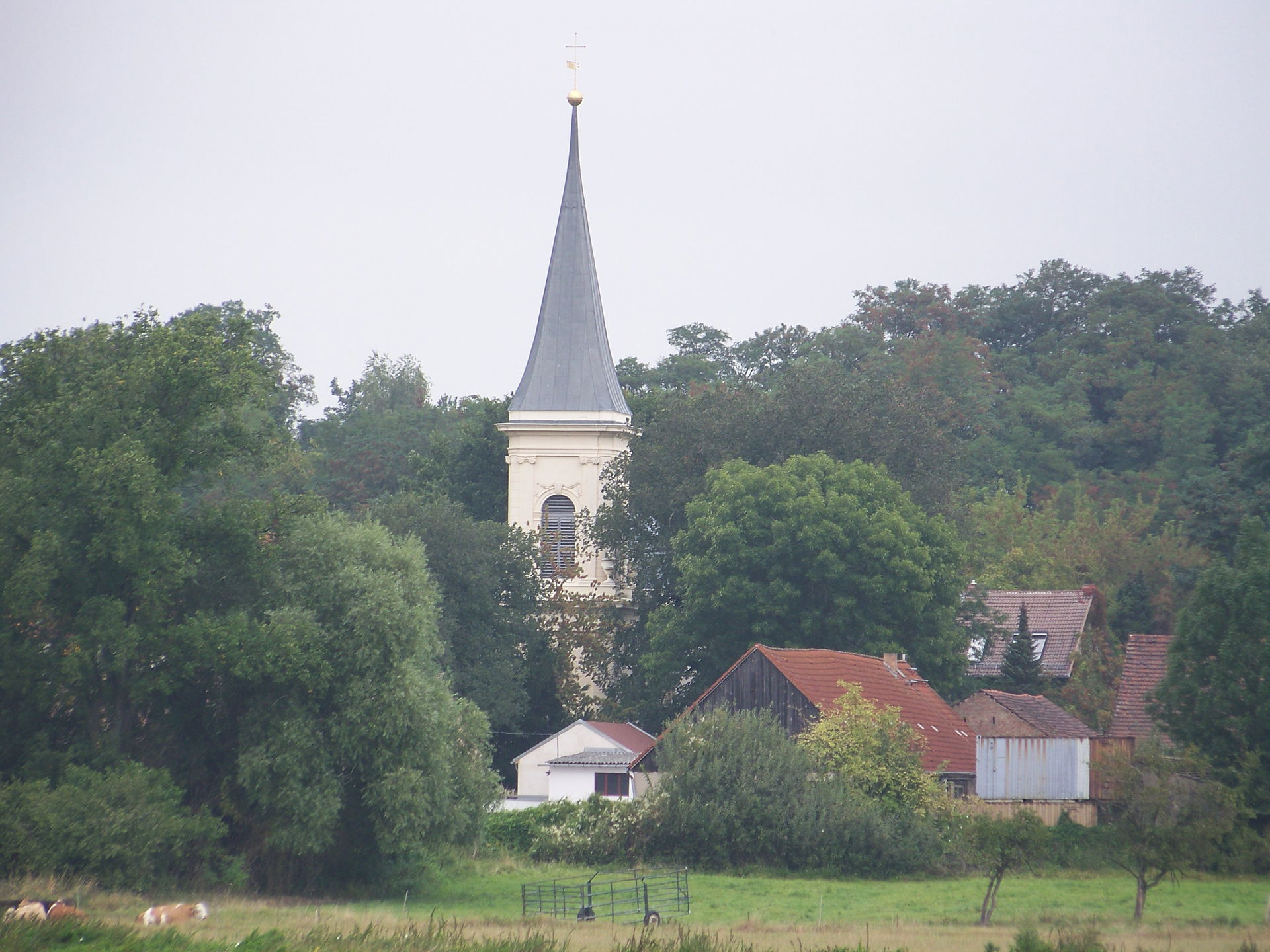 Eiche view 2