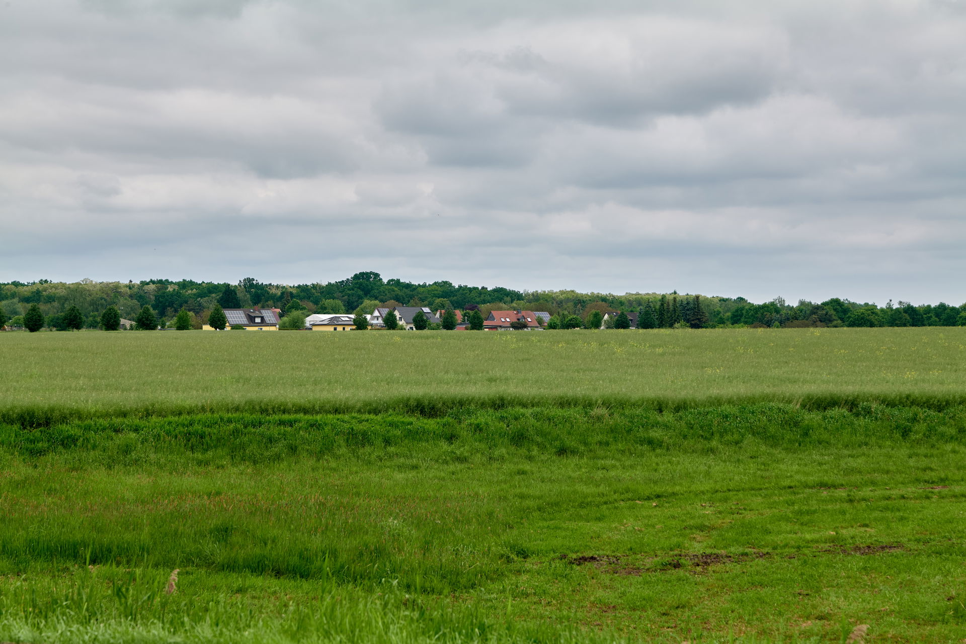 Uetz-Paaren view 2