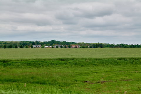Uetz-Paaren view 2