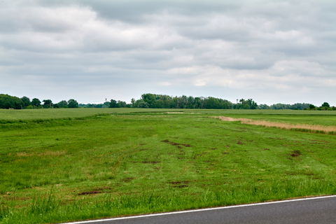 Uetz-Paaren view 3