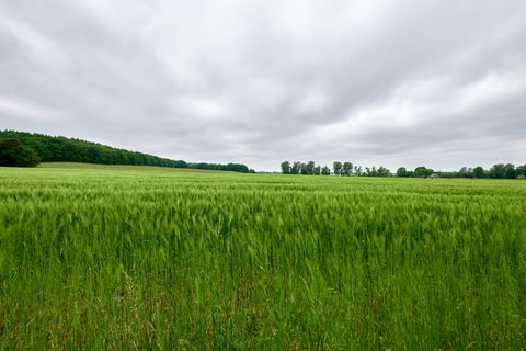 Neu Fahrland view 2