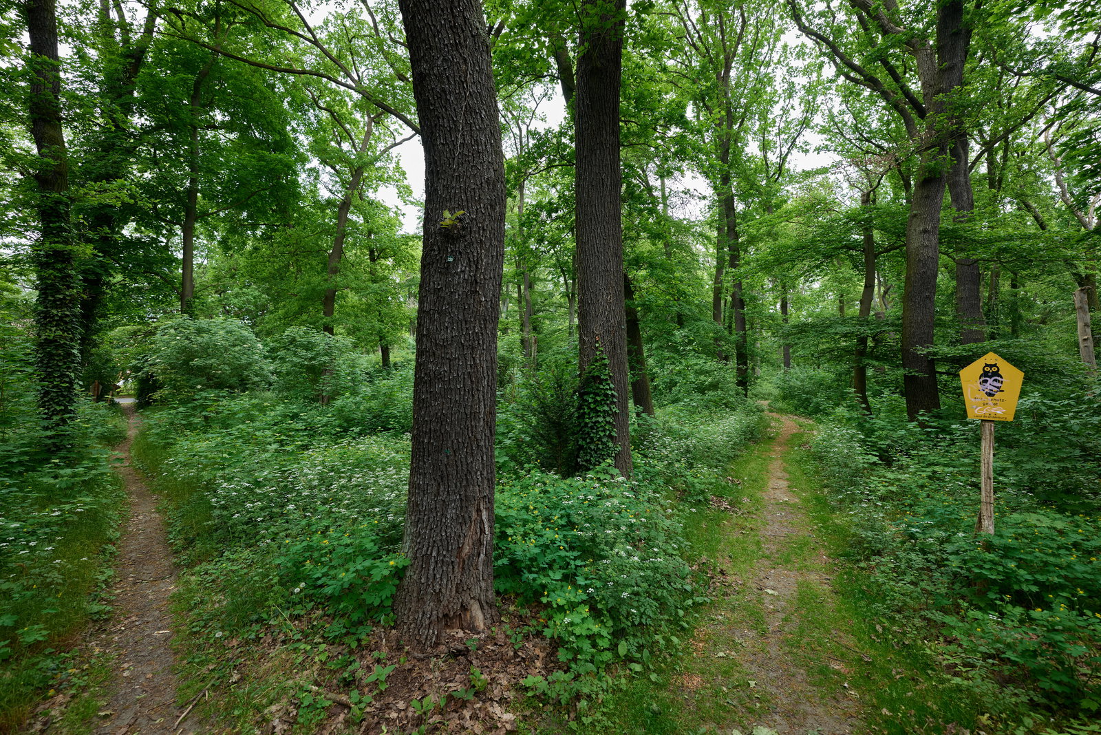 Groß Glienicke district