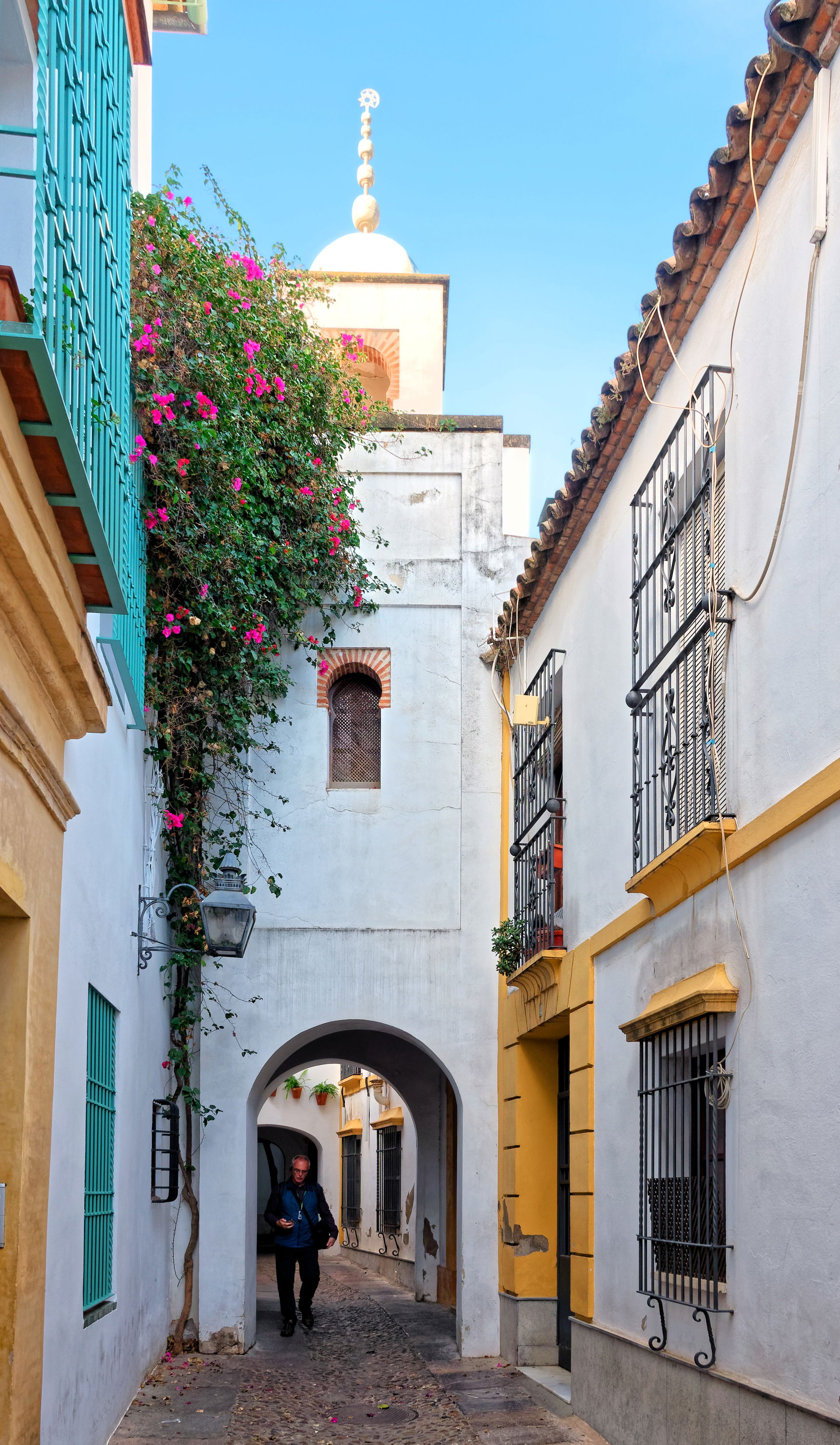 Jewish Quarter (La Judería) view 3