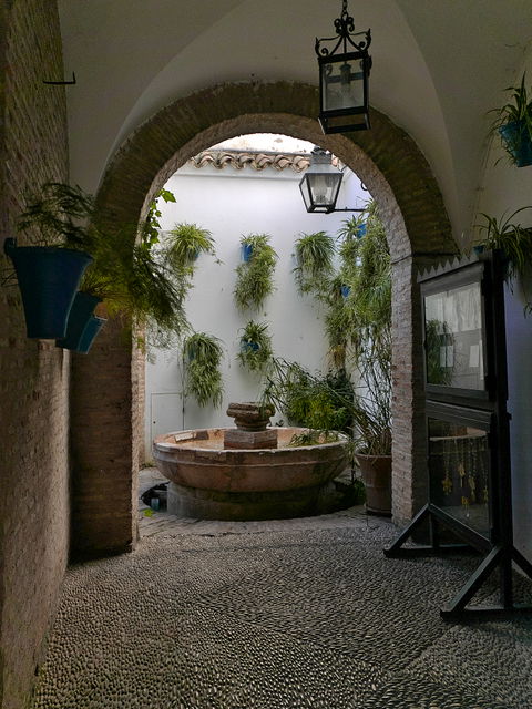Zoco view 2