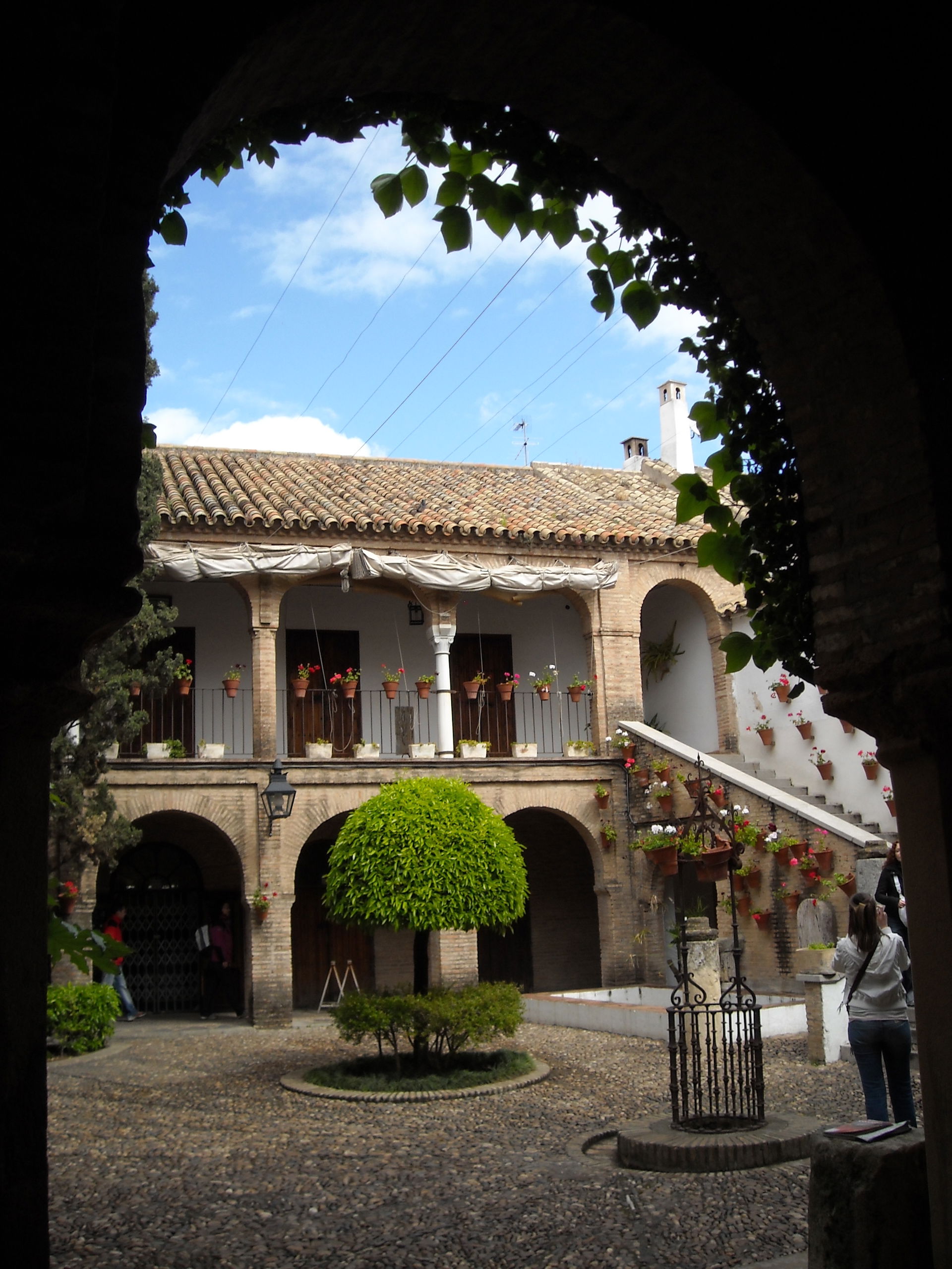 Zoco view 3